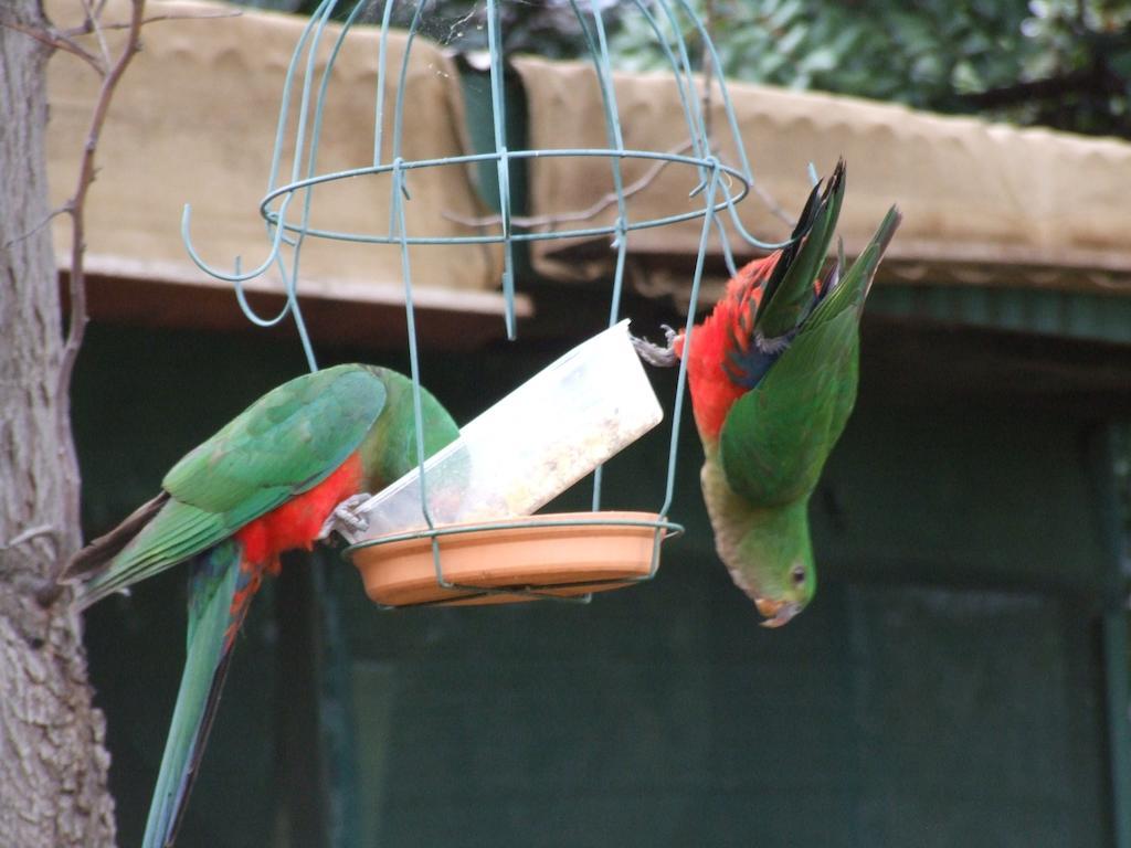 Bulwarra Bed & Breakfast ดับโบ ภายนอก รูปภาพ