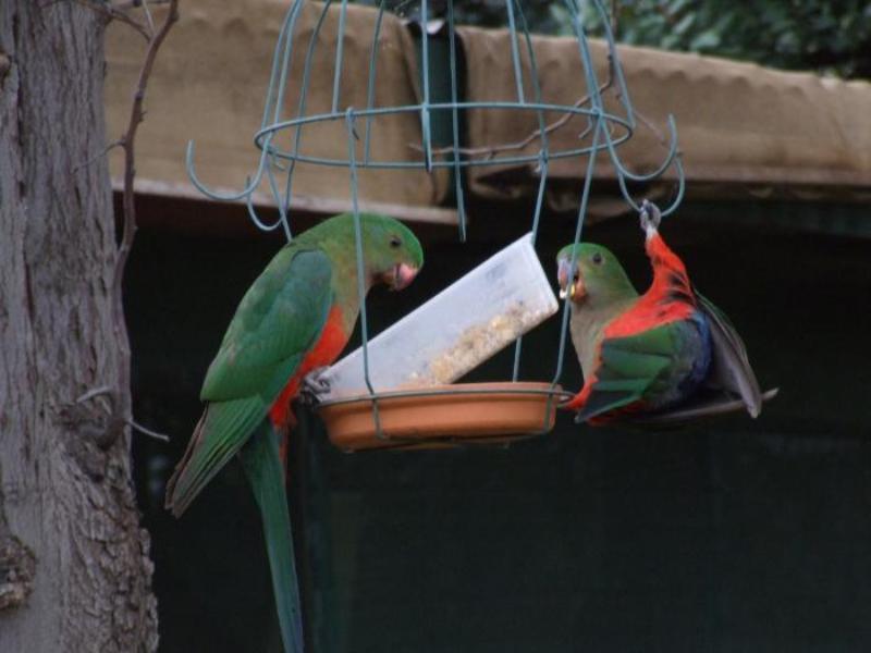 Bulwarra Bed & Breakfast ดับโบ ภายนอก รูปภาพ