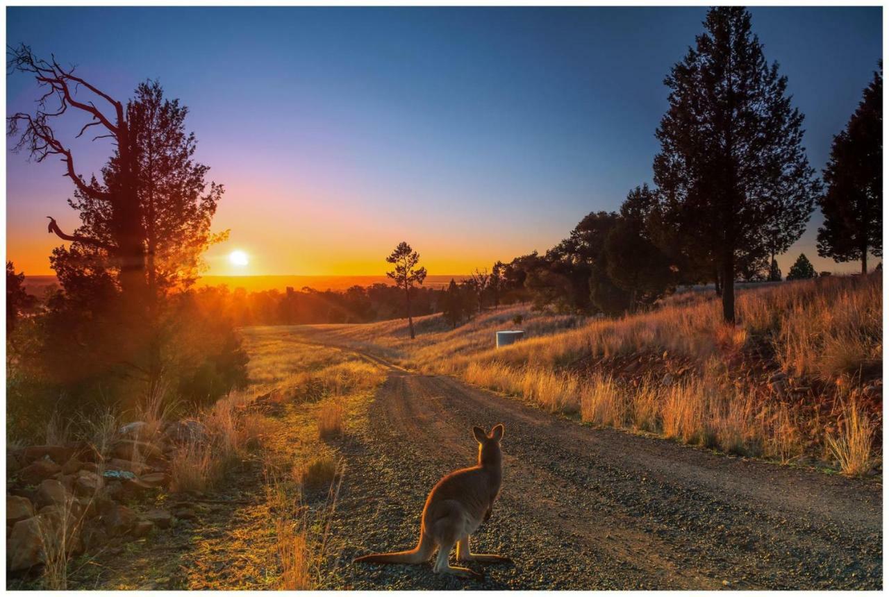 Bulwarra Bed & Breakfast ดับโบ ภายนอก รูปภาพ